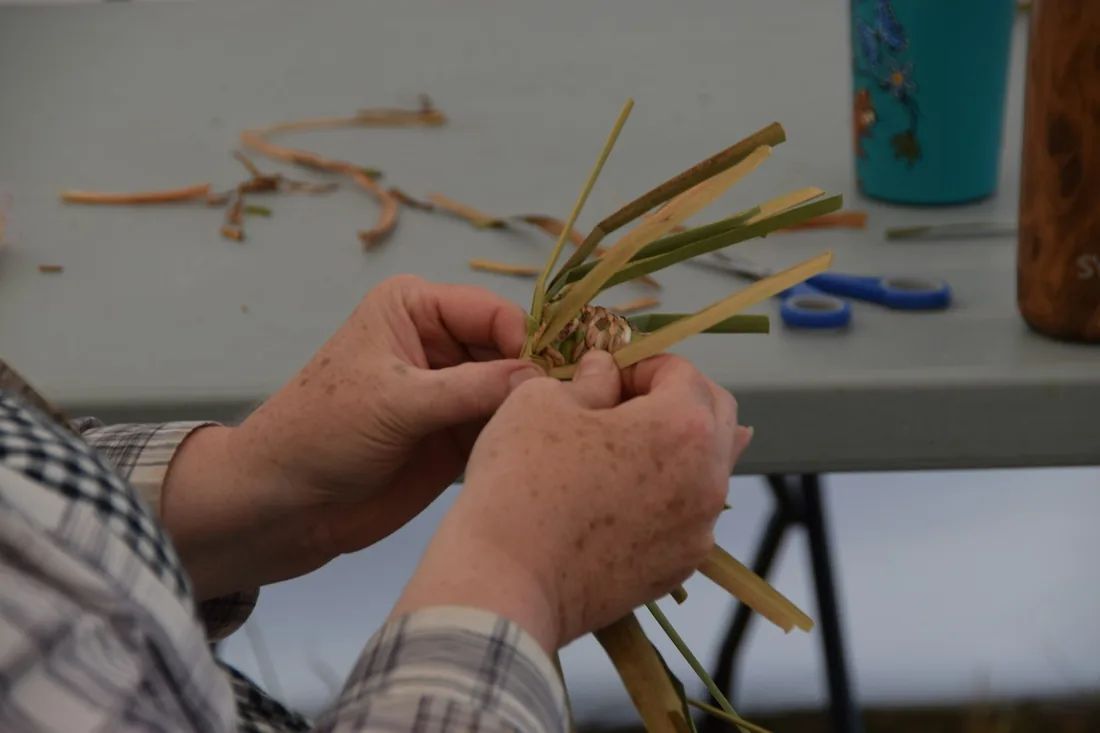 Manos trabajando un haz de tallos de paja recién abiertos sobre una mesa de taller